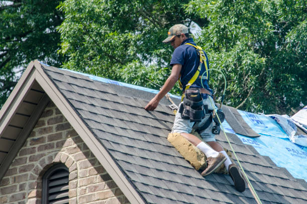 Best Residential Roofing Contractor  in West Terre Haute, IN